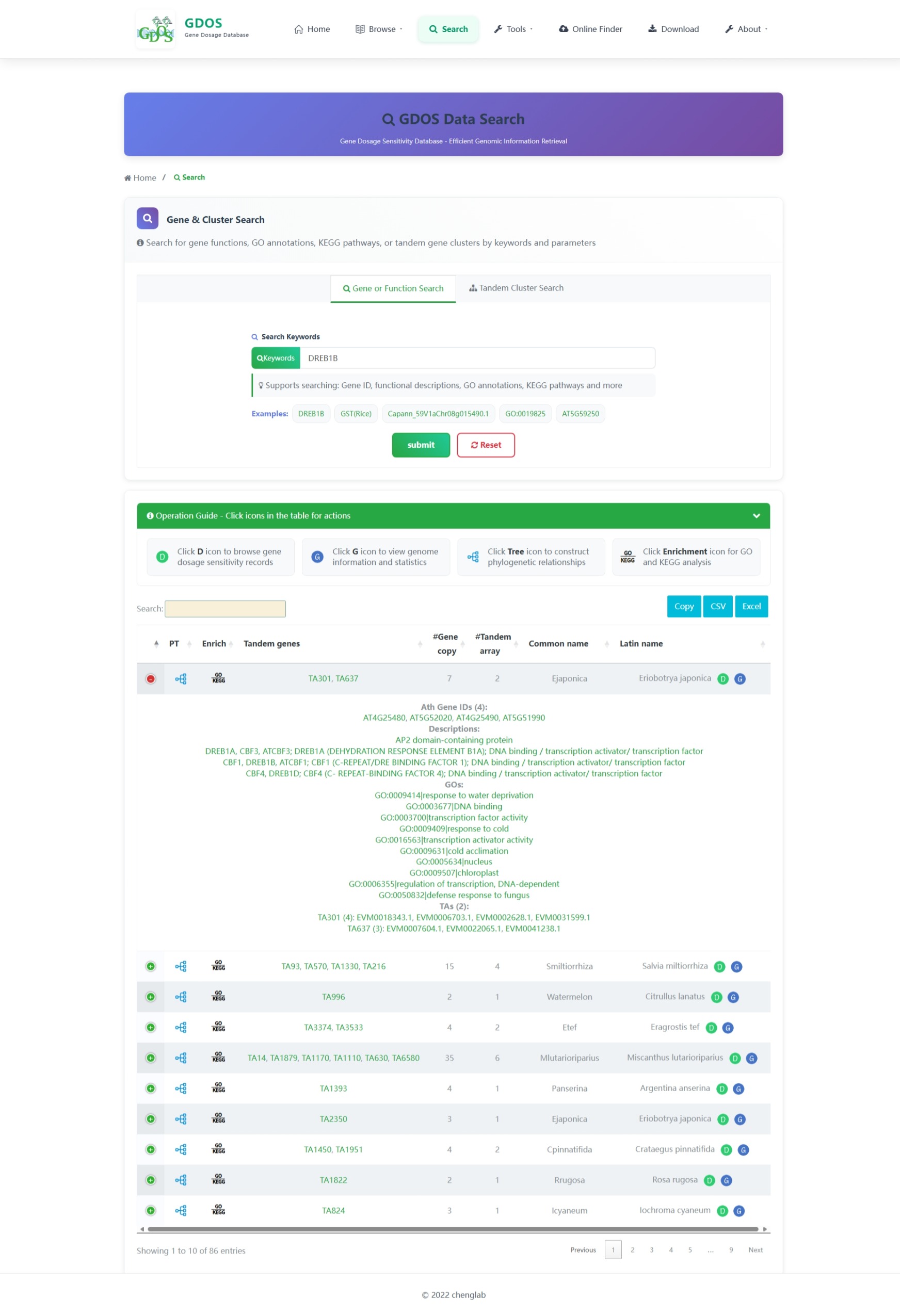 Search Page